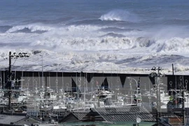 Swiss Re: Thiệt hại do các cơn bão gây ra gia tăng nhanh chóng