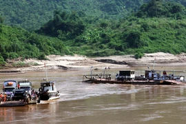 (Ảnh: Điêu Chính Tới/Vietnam+)
