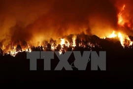 Ảnh minh họa. (Nguồn: TTXVN)