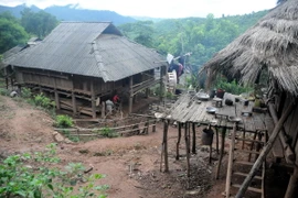 (Ảnh: Hải Sơn/Vietnam+)