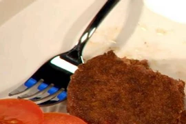 Ảnh minh họa. (Nguồn: Infophoto)