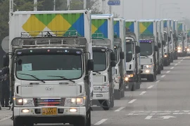 Ảnh minh họa. (Nguồn: YONHAP/ TTXVN)