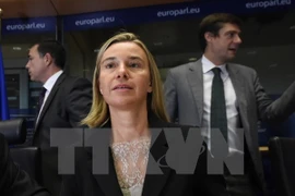 Ngoại trưởng EU nhất trí mở rộng danh sách trừng phạt nhằm vào Nga 