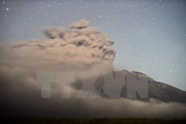 Chile quyết định hạ mức báo động đối với núi lửa Calbuco