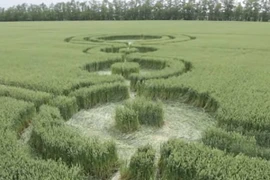Dấu vết của người ngoài hành tinh xuất hiện tại một cánh đồng lúa ở công hòa Adygea. (Nguồn: rt.com)