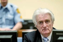 Cựu lãnh đạo người Serbia ở Bosnia-Herzegovina, Radovan Karadzic. (Nguồn: AFP)