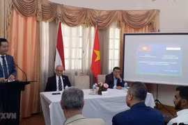 Quang cảnh hội thảo về 'Tiềm năng và Cơ hội hợp tác du lịch giữa Việt Nam và Ai Cập.' (Ảnh minh họa. Nguồn: TTXVN)