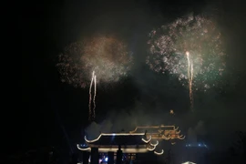 Chương trình bắn pháo hoa nghệ thuật chào mừng Đại lễ Vesak 2019. (Ảnh: Thành Đạt/TTXVN)