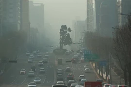 Bụi mịn bao phủ bầu trời Seoul, Hàn Quốc, ngày 13/1/2019. (Ảnh: Yonhap/TTXVN)