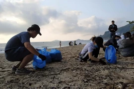 Nhiều bạn trẻ thành phố Quy Nhơn tích cực tham gia dọn rác. (Ảnh: Quốc Dũng/TTXVN)