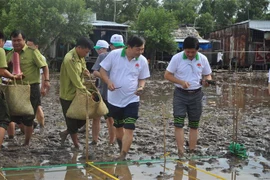 Các đại biểu tham gia trồng rừng ngập mặn tại huyện Trần Văn Thời, tỉnh Cà Mau vào ngày 20/7. (Ảnh: Thế Anh/TTXVN)