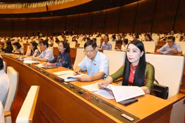 Đoàn đại biểu Quốc hội tỉnh Vĩnh Phúc tại phiên họp sáng 23/5. (Ảnh: Doãn Tấn/TTXVN)