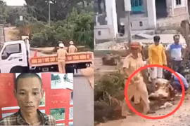 Khởi tố đối tượng lái xe chở gỗ đâm bị thương cảnh sát giao thông