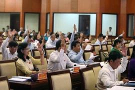 Các đại biểu biểu quyết thông qua các vấn đề thảo luận trong kỳ họp. (Ảnh: Thành Chung/TTXVN)