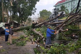 Lực lượng chức năng khắc phục hậu quả dông lốc. (Ảnh: Quân Trang/TTXVN)