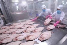 Chế biến cá tra xuất khẩu. (Nguồn: TTXVN)