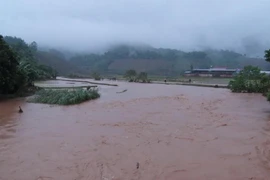 Mưa lũ nhấn chìm nhiều diện tích hoa màu của người dân xã Sốp Cộp, huyện Sốp Cộp, Sơn La. (Ảnh: TTXVN)