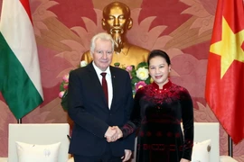 Chủ tịch Quốc hội Nguyễn Thị Kim tiếp Phó Chủ tịch Quốc hội Hungari István Jakab đang ở thăm và làm việc tại Việt Nam. (Ảnh: Trọng Đức/TTXVN)