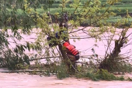 Lực lượng chức năng không quản nguy hiểm, tìm kiếm người bị mất tích. (Ảnh: TTXVN)