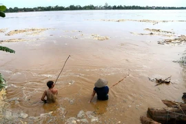 Ảnh minh họa. (Nguồn: TTXVN)