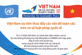 [Infographics] Việt Nam ưu tiên thúc đẩy các vấn đề toàn cầu