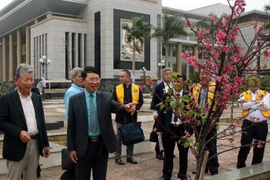 Các đại biểu thăm cây hoa Anh đào do Nhật Bản trao tặng được trồng tại thành phố Bắc Giang. (Ảnh: Đồng Thúy/TTXVN)