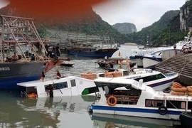 Tàu khách du lịch của Công ty trách nhiệm hữu hạn Quang Minh tự đắm tại cảng Cái Rồng. (Ảnh: TTXVN)