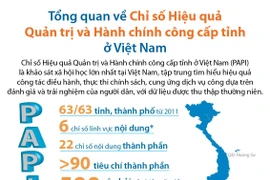 Chỉ số Hiệu quả Quản trị và Hành chính công cấp tỉnh ở Việt Nam