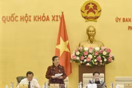 Phó Chủ tịch Thường trực Quốc hội Tòng Thị Phóng điều hành phiên họp. (Ảnh: Trọng Đức/TTXVN)