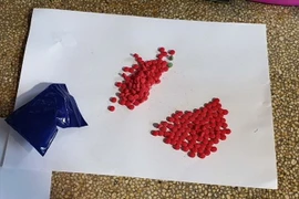 Tang vật của vụ án. (Ảnh: Trịnh Duy Hưng/TTXVN)