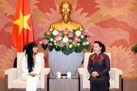 Chủ tịch Quốc hội Nguyễn Thị Kim Ngân tiếp Đoàn đại biểu Nhóm nghị sỹ hữu nghị Pháp-Việt của Quốc hội Pháp do bà Stephanie Đỗ làm trưởng đoàn. (Ảnh: Trọng Đức/TTXVN)
