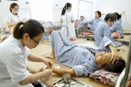 Ảnh minh họa. (Nguồn: TTXVN)