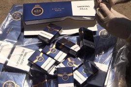 Ảnh minh họa. (Nguồn: TTXVN)