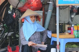 (Ảnh: Danh Lam/TTXVN)