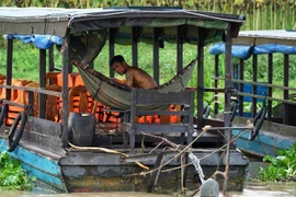 (Ảnh: Trần Long/Vietnam+)