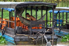 (Ảnh: Trần Long/Vietnam+)