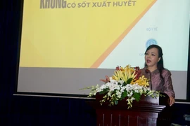 Bộ trưởng Bộ Y tế Nguyễn Thị Kim Tiến chủ trì Hội nghị. Ảnh: Đinh Hằng – TTXVN