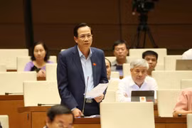 Bộ trưởng Bộ Lao động Thương binh và Xã hội Đào Ngọc Dung trả lời chất vấn của đại biểu Quốc hội. (Ảnh: Phương Hoa/TTXVN)