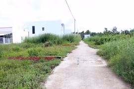 Ảnh minh họa. (Nguồn: TTXVN)