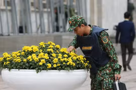(Ảnh: Dương Giang/TTXVN)