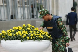(Ảnh: Dương Giang/TTXVN)