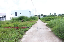 Ảnh minh họa. (Nguồn: TTXVN)