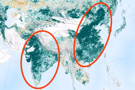 Diện tích phủ xanh của Trung Quốc và Ấn Độ. (Nguồn: NASA)
