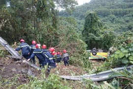 (Ảnh: Trần Lê Lâm/TTXVN)