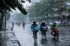 Ảnh minh họa. (Nguồn: Vietnam+)
