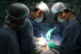 Các bác sỹ Bệnh viện Y dược Thành phố Hồ Chí Minh phẫu thuật lấy khối u tim hiếm gặp cho bệnh nhi 4 tháng tuổi. (Ảnh: TTXVN)