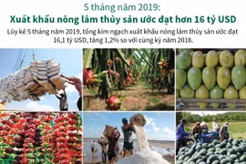 Xuất khẩu nông lâm thủy sản ước đạt hơn 16 tỷ USD.