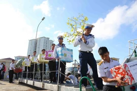 Vận chuyển quà Tết lên tàu. (Ảnh: Thành Đạt/TTXVN)