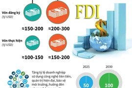 Nghị quyết về định hướng đầu tư nước ngoài đến năm 2030.