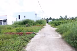 Ảnh minh họa. (Nguồn: TTXVN)